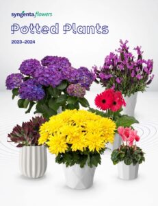 Syngenta Flowers releases Potted Plants Catalog cover