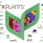 DeVry Greenhouses joins ThinkPlants Perennial Young Plant Network