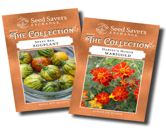 New Seed Collection_Seed Savers Exchange