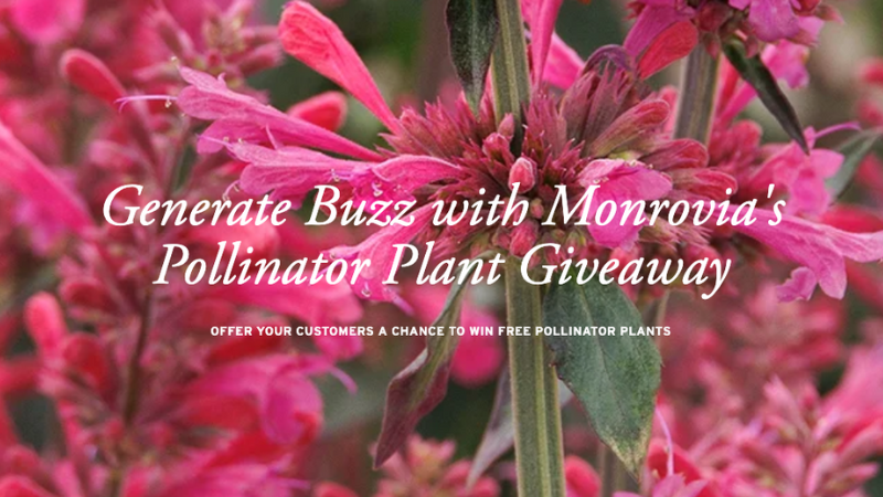 Monrovia opens registration for 2024 'Bee a Winner' pollinator plant giveaway