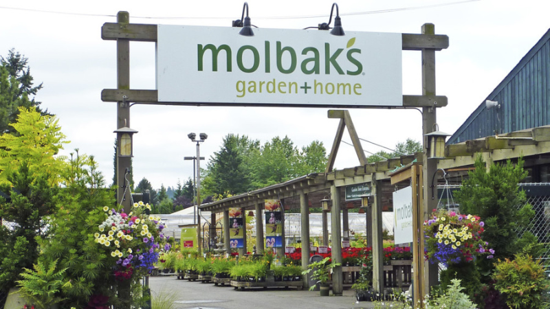 Molbak's to permanently close operations