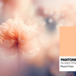 pantone 2024 color of the year Peach Fuzz