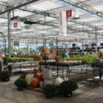 _stock carts Suburban Lawn and Garden Kansas City