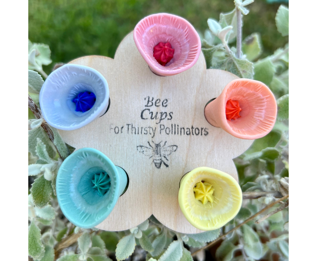 Bee Vision Variety pack_Bee Cups