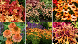 Terra Nova Nurseries Releases 2024 Pantone Color Of The Year Plant List   Terra Nova Nurseries Releases 2024 Pantone Color Of The Year Plant List 800 300x169 