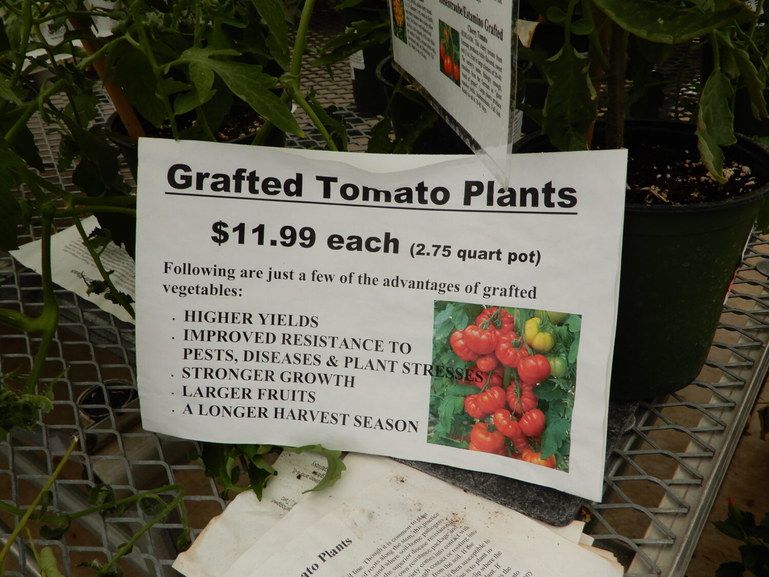 Wedel’s uses plant benefit messaging to sell higher-margin grafted tomato plants.