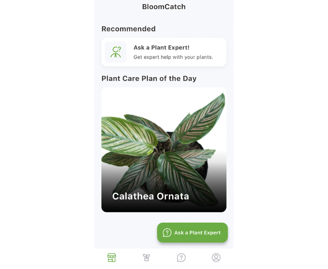 Plant Recognition App_BloomCatch.jpg