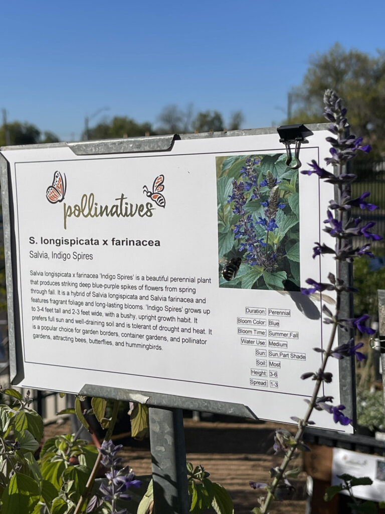 Branded signs at Pollinatives show the features and benefits of each native plant.