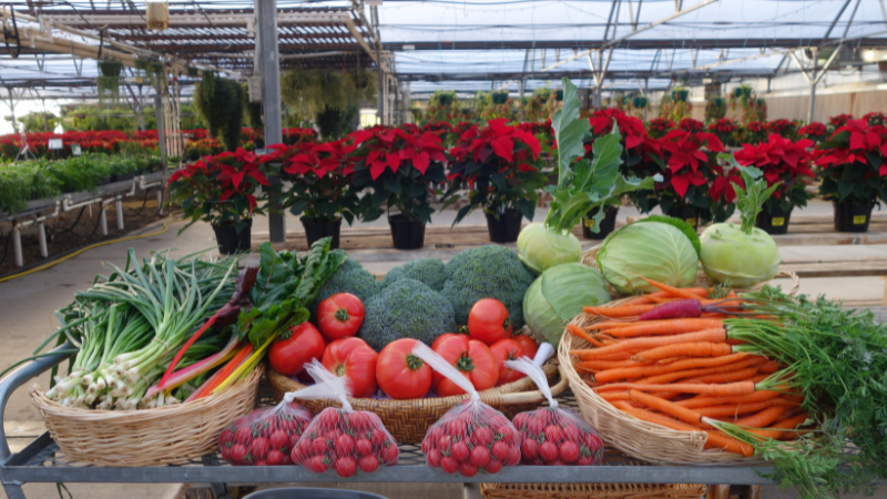 The winter farmers market helped to bring customers into the garden center and increase sales for other items as well.