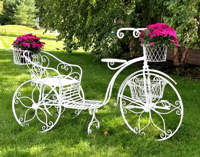 Stephania Iron Tricycle Plant Stand _Zaer