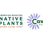 Cavano’s Perennials has joined American Beauties Native Plants as a licensed grower, providing garden-worthy native plants.