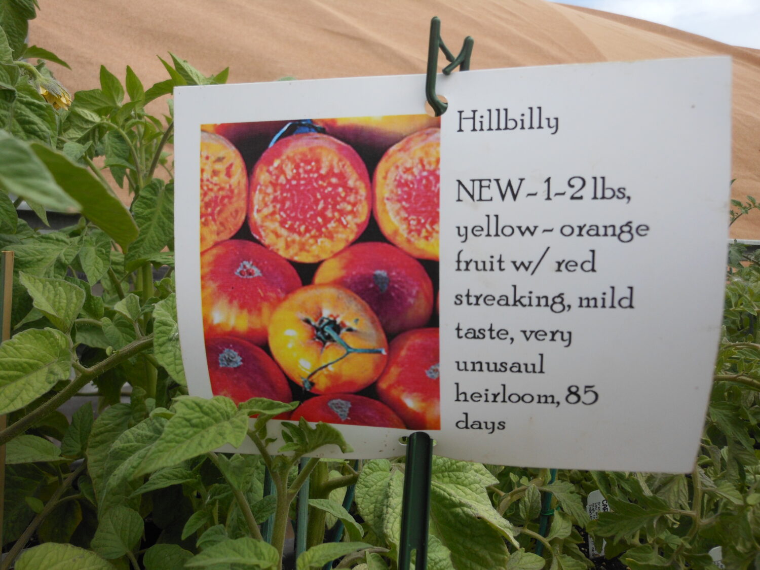 Carlsons’ Greenhouse in Fenton, Michigan, has great signs showing benefits not features. Descriptions of the color and flavor are much more appetizing than how tall the plant grows or how far apart to space them.