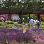 Registration is open at darwinperennialsday.com for Darwin Perennials Day, scheduled for Wednesday, June 19, in The Gardens at Ball in West Chicago, Illinois.