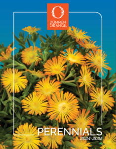 Dümmen Orange 2024-2025 perennials catalog