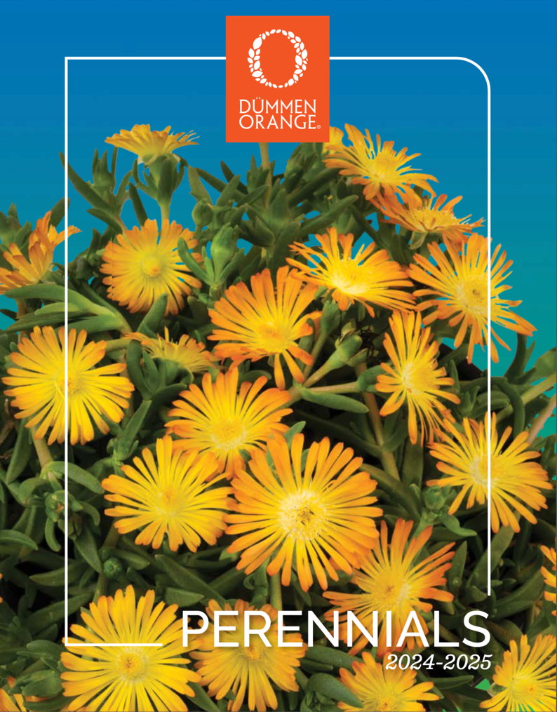 Dümmen Orange 2024-2025 perennials catalog - Lawn & Garden Retailer