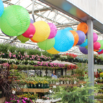 Moore and Moore in Nashville, Tennessee, adds a touch of whimsy with colorful lanterns in the greenhouse.