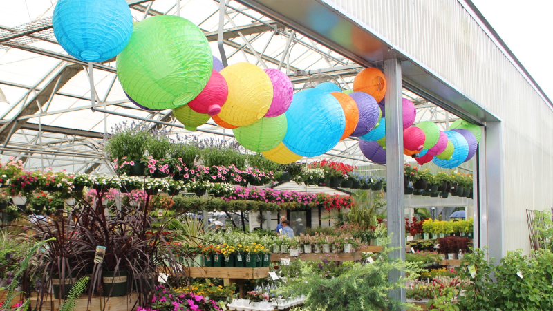 Moore and Moore in Nashville, Tennessee, adds a touch of whimsy with colorful lanterns in the greenhouse.