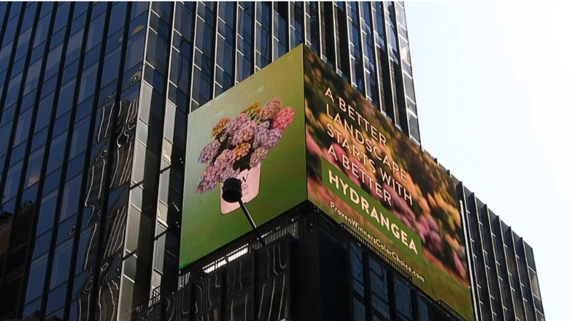 Proven Winners ColorChoice billboard lights up Times Square