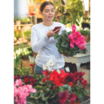 Revamp Your Retail Series Online and in-store plant buyers