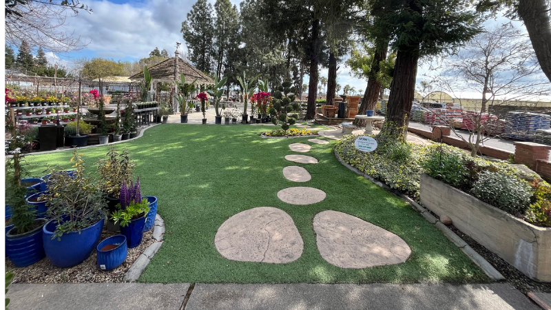 Willow Gardens Nursery has served the Fresno and Clovis area with mature trees, colorful flowers, pottery, statuary, and gifts. 1) The synthetic grass on the property gives customers a first-hand look and feel for the material,