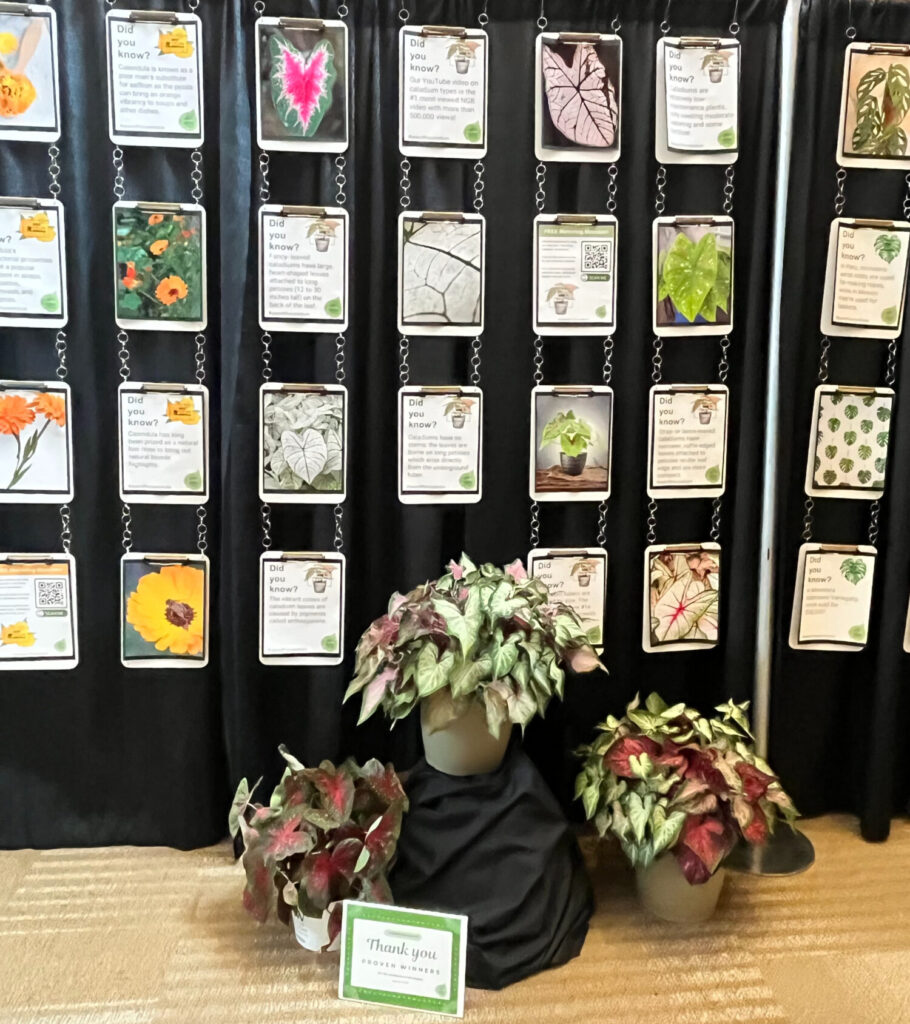 Cultivate24 recap Merchandising and display inspiration - NGB