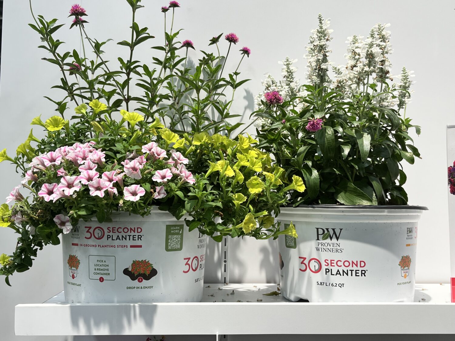 Proven Winners 30 Second Planters 2024 Retailers Choice awards