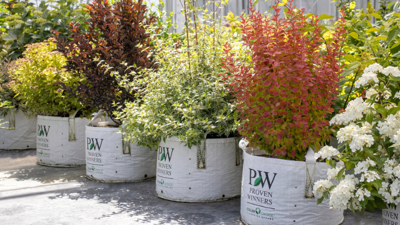 Proven Winners ColorChoice introduces sustainable plant package