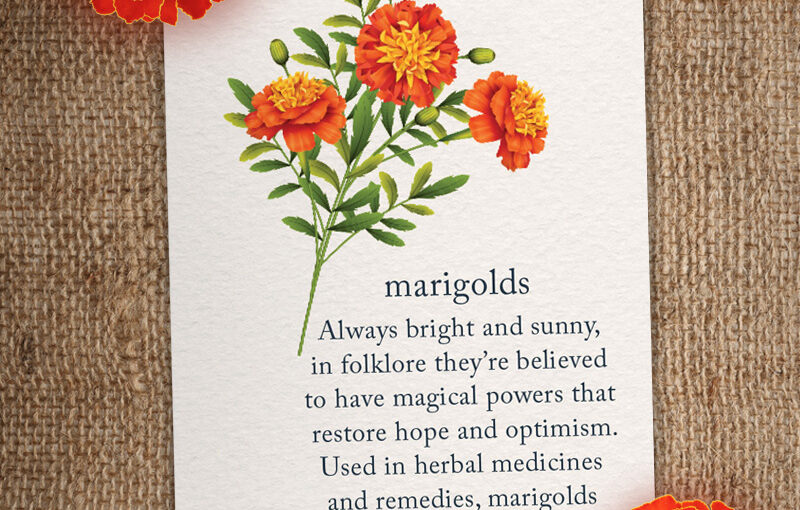 Cardthartic_Marigolds card