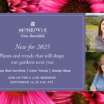 Monrovia schedules garden trends, 2025 new varieties webinar