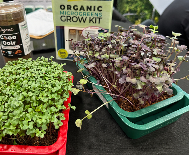 Organic Microgreens Grow Kit_KnowingNature