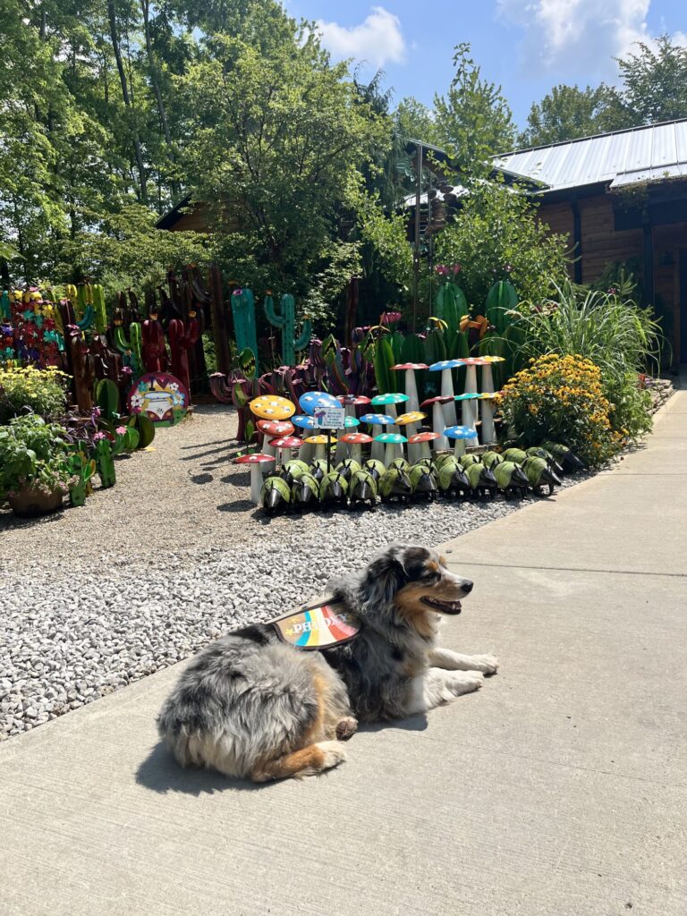 From the Road: Groovy Plants Ranch offers everything from ‘air plants ...