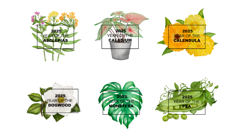 Marketing materials now available for NGB's 2025 "Year of the" plant campaign