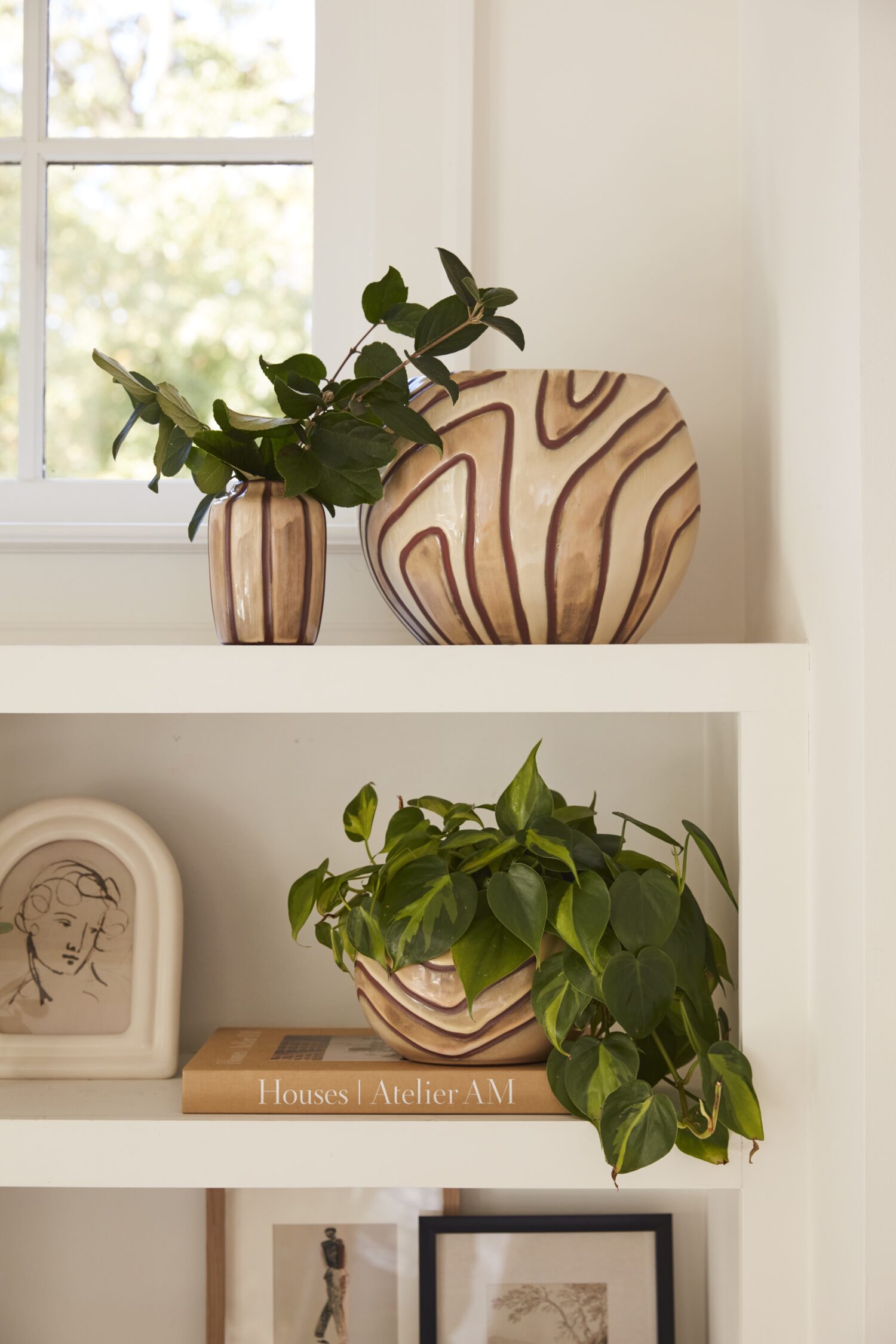 Accent Decor_Mollino Collection