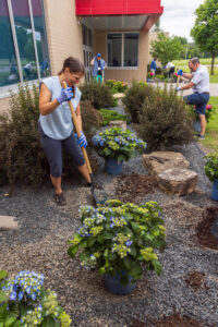 Endless Summer marks 20 years with community plantings