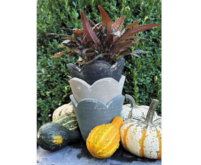 Botanical Collections_Surrey Garden Pots in Charcoal, Taupe, and Pewter