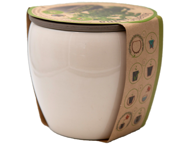 Ceramo Pottery_Self-Watering Aquatic Collection