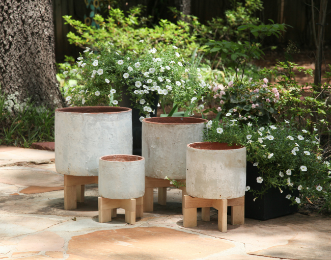 Pacific Home & Garden_ Cylinder Planter