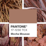 The Pantone Color of the Year is once again a hue rooted in nature and Proven Winners said it has the perfect plants to celebrate it!