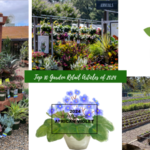 Top 10 Garden Retail Feature Articles of 2024