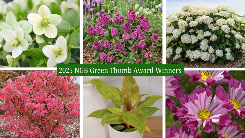 2025 NGB Green Thumb Award Winners