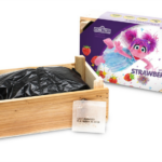 De Vroomen Garden Products launches Sesame Street collection