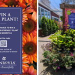 Monrovia is once again partnering with garden centers across the country to promote the importance of pollinator-attracting plants with its Bee a Winner giveaway program.