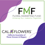 Floral Marketing Fund, CalFlowers announce partnership