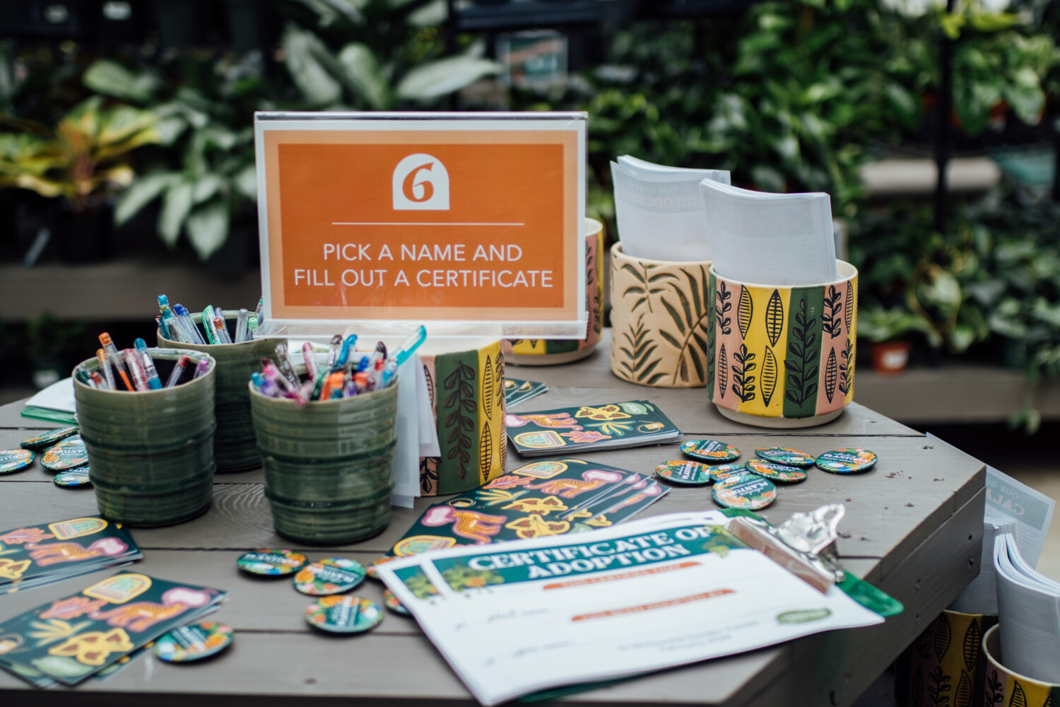 McDonald Garden Center turned its houseplant department into an immersive experience. 