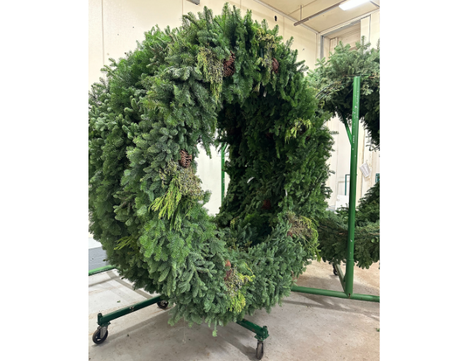 M&M Wintergreens_60-Inch Mixed Wreath with Cones