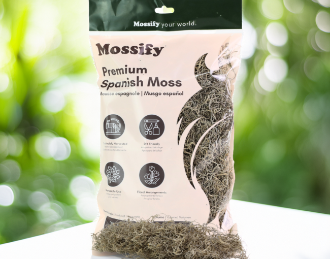 Mossify_Premium Spanish Moss