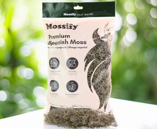 Mossify_Premium Spanish Moss
