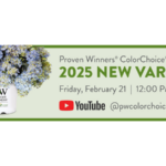 Spring Meadow Nursery announced it will unveil 32 new Proven Winners ColorChoice shrub varieties in a YouTube Live Stream event at 12:00 p.m. ET on Friday, Feb. 21. The shrubs covered will be varieties that are new to retail in 2025.