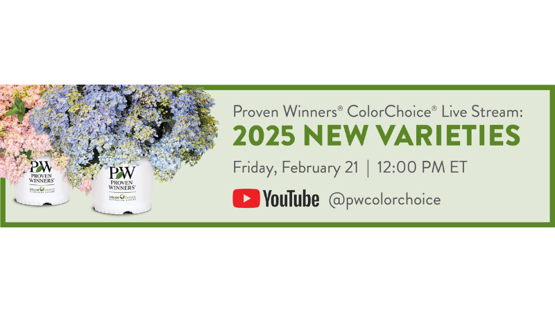 Spring Meadow Nursery announced it will unveil 32 new Proven Winners ColorChoice shrub varieties in a YouTube Live Stream event at 12:00 p.m. ET on Friday, Feb. 21. The shrubs covered will be varieties that are new to retail in 2025.