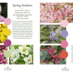 This spring, color is in season, and Monrovia is planting the seeds for gardeners to create stunning designs with its "Shades of Beautiful" downloadable guide.